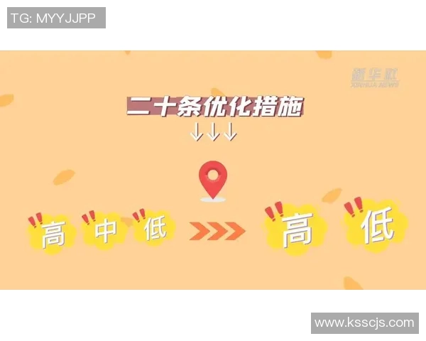 运动员健康管理与综合训练方案优化调整方案